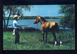 Fort Worth, Texas/TX Postcard, Texas Cowboy & His Horse, Lake Benebrook