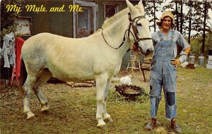 My Mule and Me Donkey Writing on back 