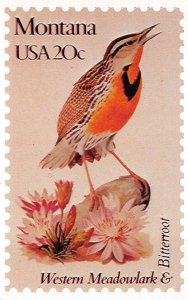 WESTERN MEADOWLARK & BITTERROOT MONTANA STAMP ANDREWS CACHET POSTCARD (1982)