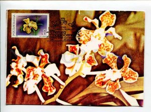 422217 ROMANIA 1990 year flowers orchid maximum card