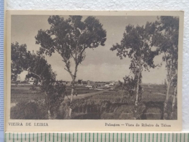 Postcard Païsagem, Vista do Ribeiro da Táboa, Vieira de Leiria, Portugal