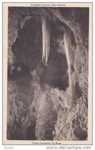 Celery Formation, Big Room, Carlsbad Caverns, New Mexico,  00-10s