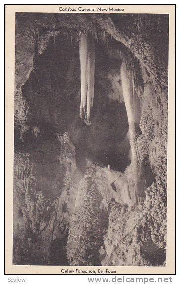 Celery Formation, Big Room, Carlsbad Caverns, New Mexico,  00-10s