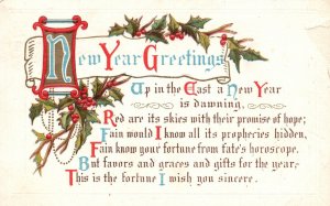 Vintage Postcard 1916 New Year Greetings This is the Fortune I Wish You Sincere