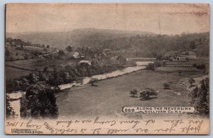 K51/ Along the Neversink New York Postcard c1910 Birdseye 247