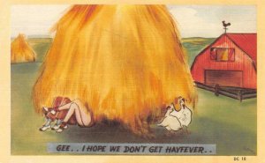 Comic  I HOPE WE DON'T GET HAY FEVER Man & Woman Under Haystack c1940's Postcard