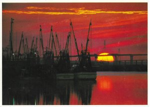 Sunset at Hilton Head Island South Carolina  Continental Size