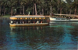 Jungle Cruise, Glass Bottom Boat, Silver Springs Florida Vintage Postcard