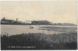 Lakeville Ohio Small boats & Lilly Patch