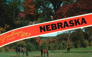 Greetings From NEBRASKA Pastoral Grounds Horses Forest Trees Houses Postcard