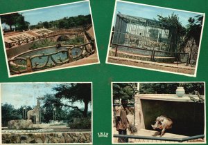 Postcard Republique Du Niger Musee National Niamey Vues du Jardin Zoologique