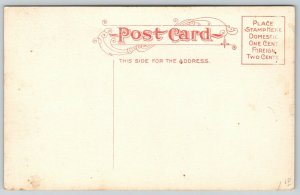 Racine Wisconsin~Victorian Ladies at Post Office~Gothic Tower~c1910 Postcard