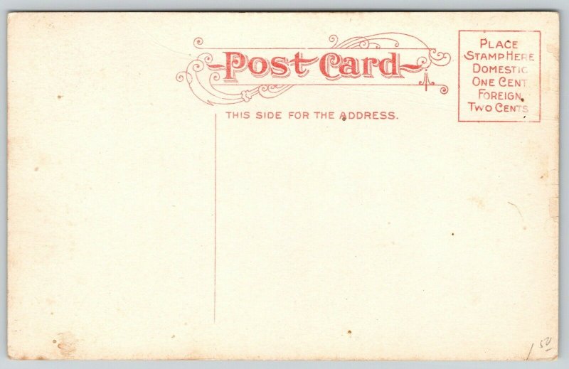 Racine Wisconsin~Victorian Ladies at Post Office~Gothic Tower~c1910 Postcard