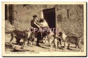 Old Postcard At St. Bernard Dogs Dog