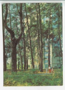 479336 USSR 1989 Abkhazia Pitsunda pine grove Kavkazskaya Zdravnitsa