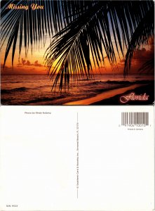 Missing You Florida (33060