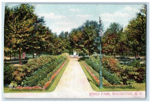 c1910 Jones Park  Streetlight Plants Rochester New York Vintage Antique Postcard 