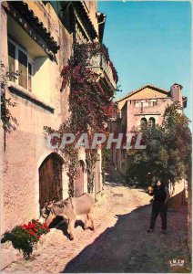 Modern Postcard The French Riviera Saint Paul de Vence Old Street