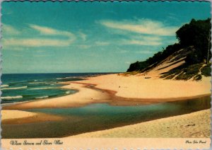 USA Where Stream And Shore Meet Michigan Vintage Postcard BS21