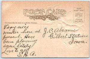 c1910s Bondville, IL Greetings Mica Glitter Floral Embossed Postcard ILL A169