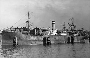 Liguria WWI, Printed Photo Hamburg-American Line Ship 