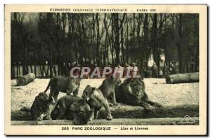 Old Postcard Felin Lion International Colonial Exposition Paris 1931 Zoo lion...