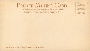 Pvt Mailing Card; Parliament Buildings Nassau Bahamas, Detroit Photographic Co.