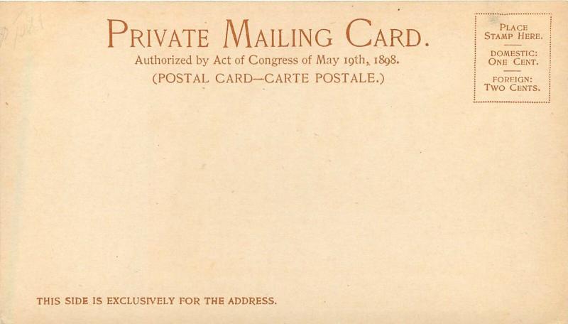 Pvt Mailing Card; Parliament Buildings Nassau Bahamas, Detroit Photographic Co.