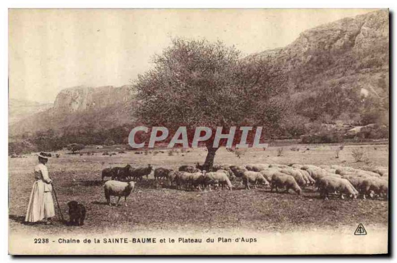 Old Postcard Chain Sainte Baume and the Plateau Sheep Plan of Aups