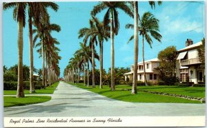 Postcard - Royal Palms Line Residential Avenues in Sunny Florida, USA