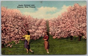 Vtg Romney West Virginia WV Apple Orchard 1940s Linen View Old Card Postcard