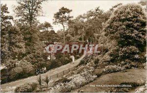 Postcard Modern Pine Walk Bournemouth Gardens