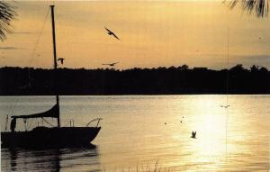 Beautiful Sunset Scene on a Florida Lake~Sailboat~Seagulls~Contest info on Back