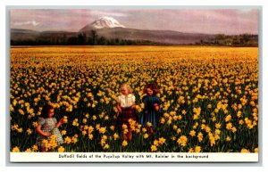 Vintage 1950's Postcard Daffodil Fields Puyallup Valley Mt. Rainier Washington