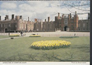 Middlesex Postcard - Springtime at Hampton Court    LC5868