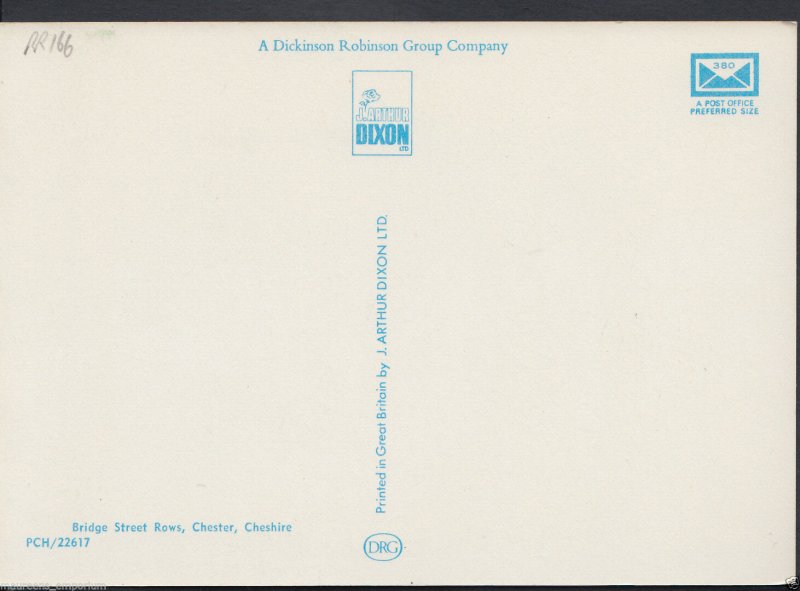 Cheshire Postcard - Chester, Bridge Street Rows   RR166