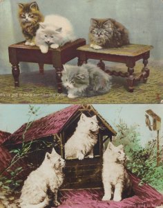 Bird Singing To Cats 2x Talking Kittens Old RPC Postcard s