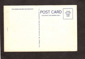 TX Texas State Flower Blue Bonnets Field Postcard Carte Postale