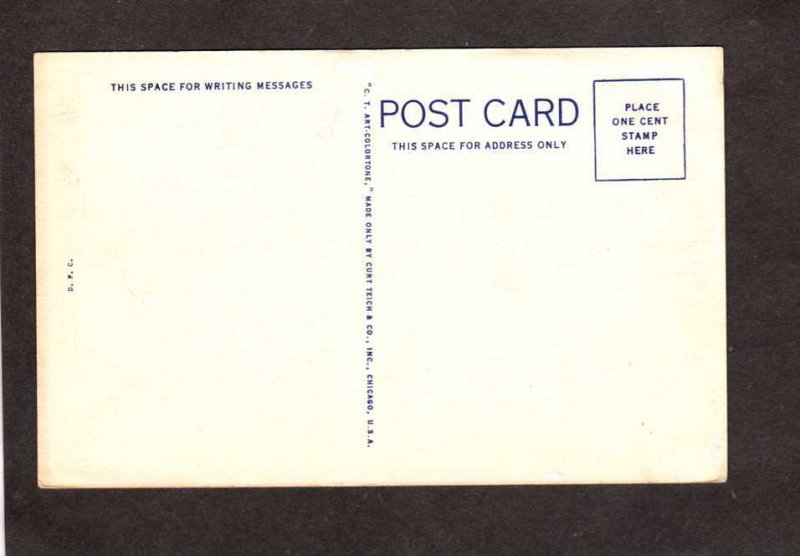 TX Texas State Flower Blue Bonnets Field Postcard Carte Postale