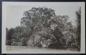 Andover, MA - The Old Oak, Abbot Academy - RPPC