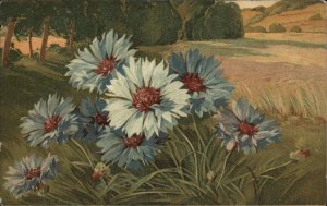 Tuck Art Series 6917 Flowers in Field c1910 Vintage Postcard