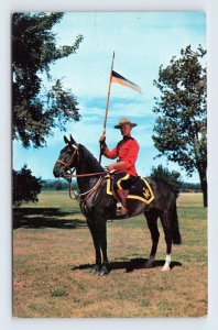 Royal Canadian Mounted Policeman Mountie Canada  UNP Chrome Postcard L14