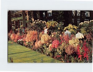 Postcard Flowers In Conservatory, Longwood Gardens, Kennett Square, Pennsylvania