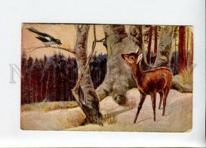 3156664 Winter Hunt DEER & MAGPIE vintage color PC