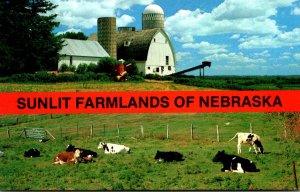 Nebraska Greetings With Sunlit Farmlands