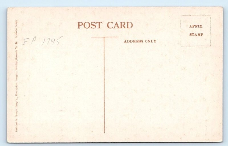 Cedar Avenue BERMUDA Postcard