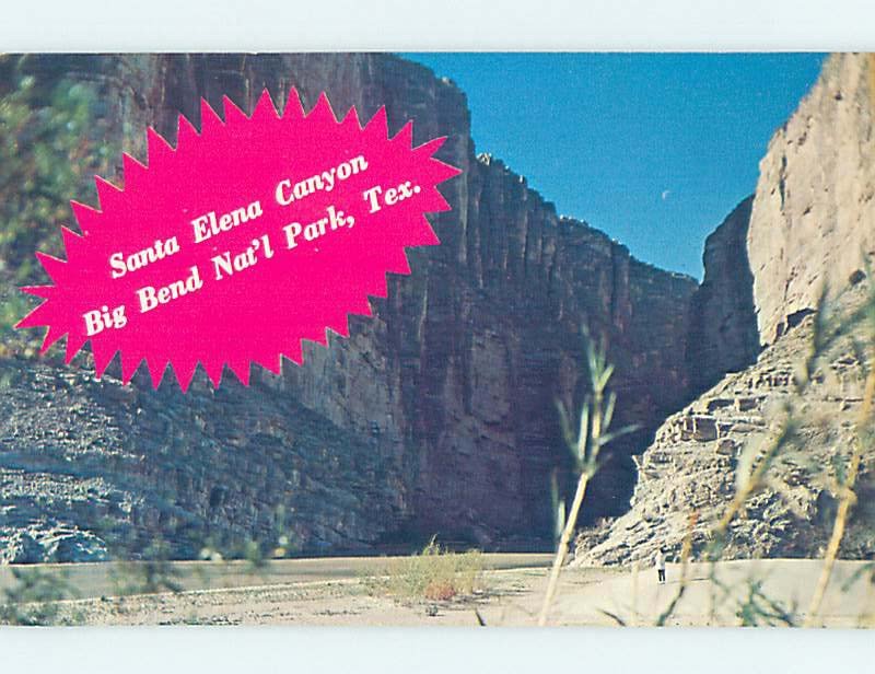 Pre-1980 NATURE SCENE Big Bend National Park - Terlingua Texas TX AD3334