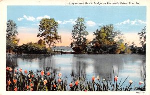 Lagoon and Rustic Bridge on Peninsula Drive Erie, Pennsylvania PA