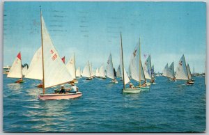 Vtg Santa Ana California CA Flight of Snowbirds Dinghy Sail Boats 1970s Postcard