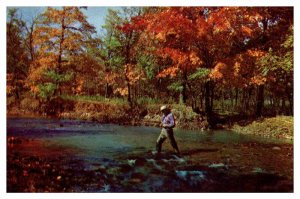 Postcard PEOPLE SCENE Catskill Mountains New York NY AQ0325